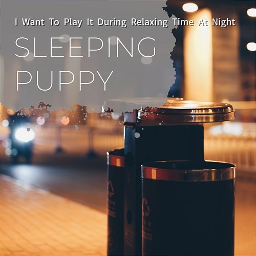 I Want to Play It During Relaxing Time at Night Sleeping Puppy