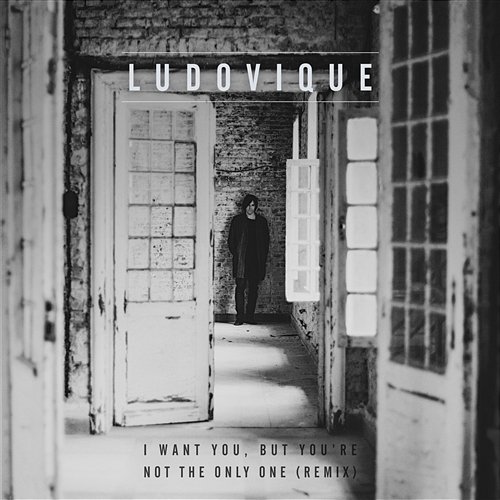 I Want You, But You're Not the Only One (Remix) Ludovique