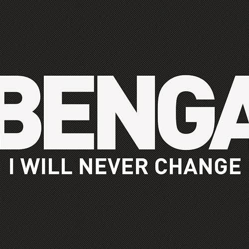 I Will Never Change Benga