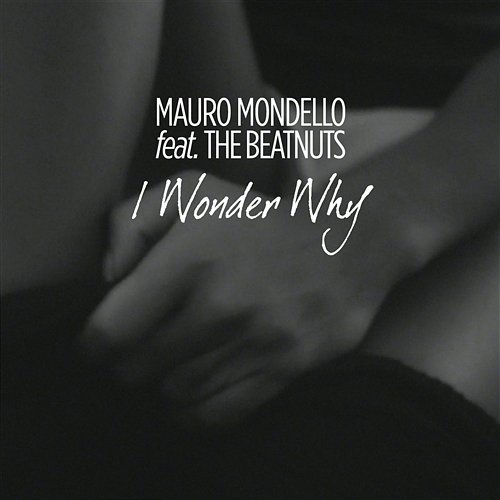 I Wonder Why Mauro Mondello feat. The Beatnuts
