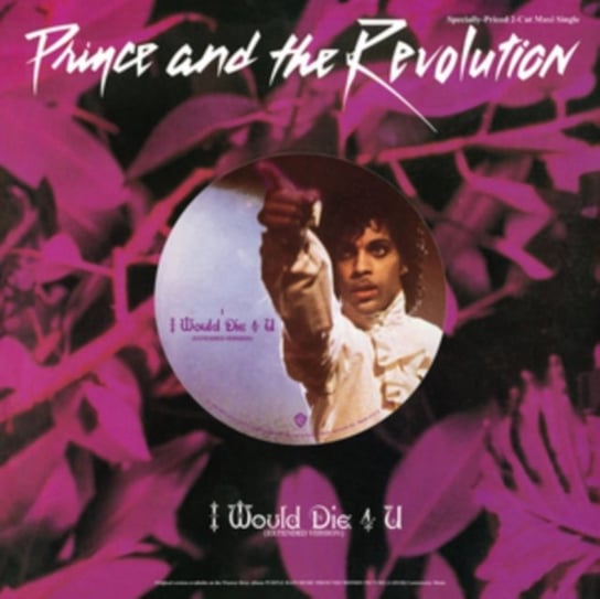 I Would Die 4 U Prince and the Revolution