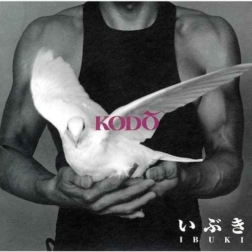 IBUKI Kodo