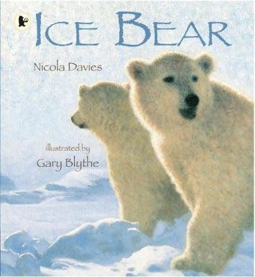 Ice Bear Davies Nicola