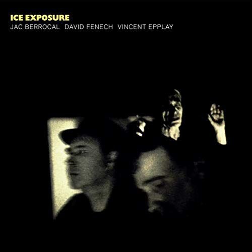 Ice Exposure Various Artists