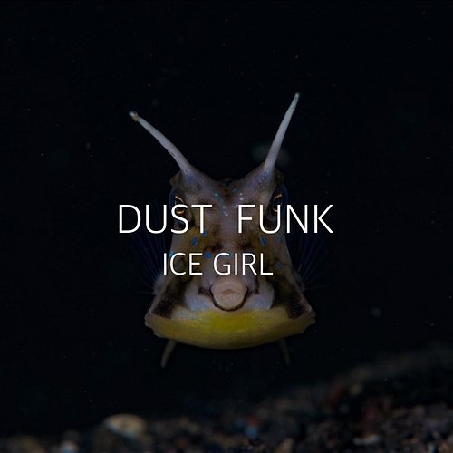 ICE GIRL Dust funk
