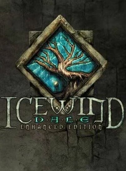 Icewind Dale: Enhanced Edition, klucz Steam, PC Aspyr, Media
