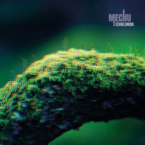Ichneumon mechu