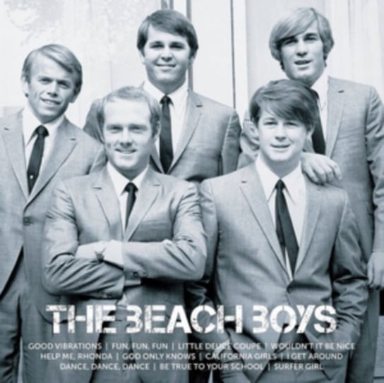 Icon The Beach Boys