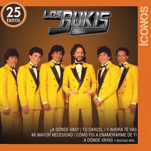 Íconos 25 Éxitos Los Bukis