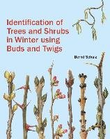Identification of Trees and Shrubs in Winter Using Buds and Twigs Schulz Bernd