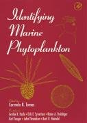 Identifying Marine Phytoplankton Tomas Carmelo R.