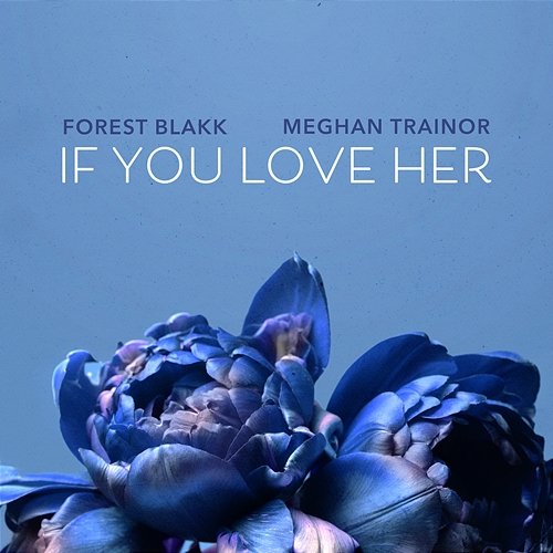 If You Love Her Forest Blakk feat. Meghan Trainor