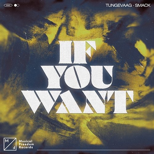 If You Want Tungevaag x SMACK