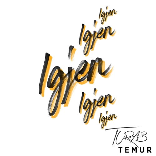 Igjen Turab & Temur