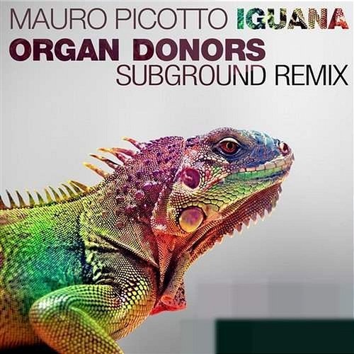 Iguana (Organ Donors Subground Remix) Picotto, Mauro