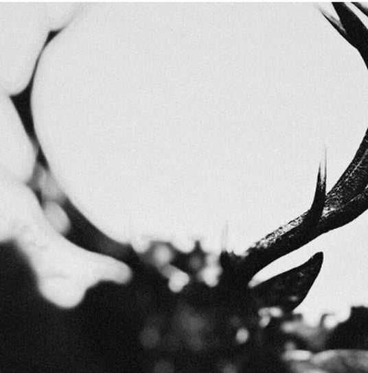 Ihsahn Ihsahn