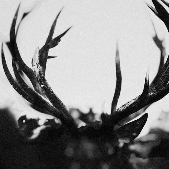 Ihsahn (Orchestral Version) Ihsahn