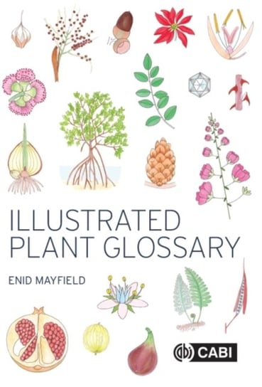 Illustrated Plant Glossary Opracowanie zbiorowe
