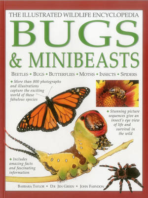 Illustrated Wildlife Encyclopedia: Bugs & Minibeasts Taylor Barbara, Green Jen, Farndon John