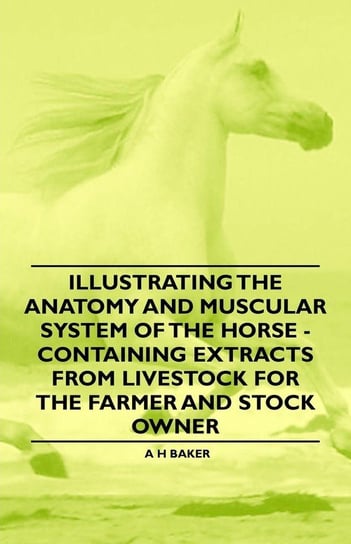 Illustrating the Anatomy and Muscular System of the Horse - Containing Extracts from Livestock for the Farmer and Stock Owner Baker A. H.