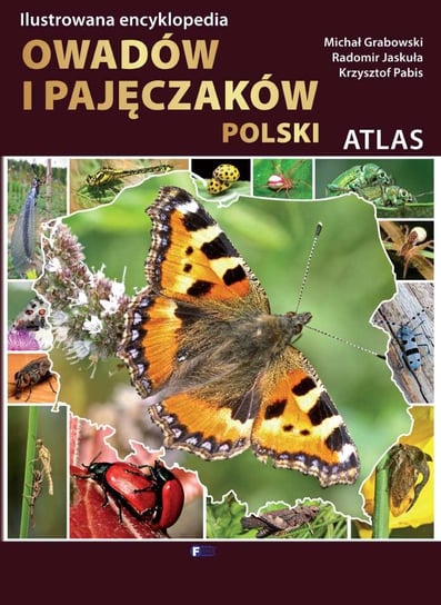Ilustrowana encyklopedia owadów i pajęczaków Polski Grabowski Michał, Jaskuła Radomir, Pabis Krzysztof