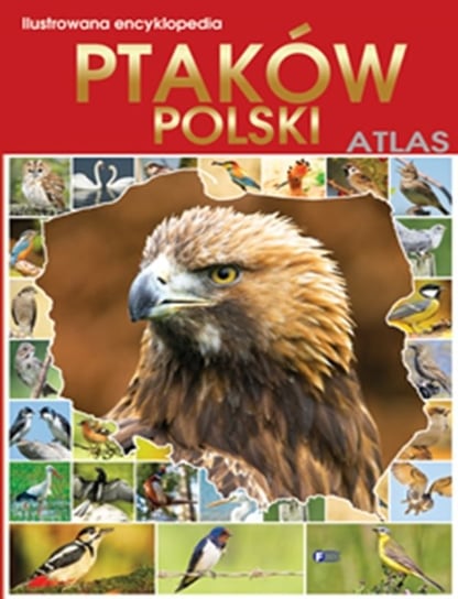 Ilustrowana encyklopedia ptaków Polski Opracowanie zbiorowe