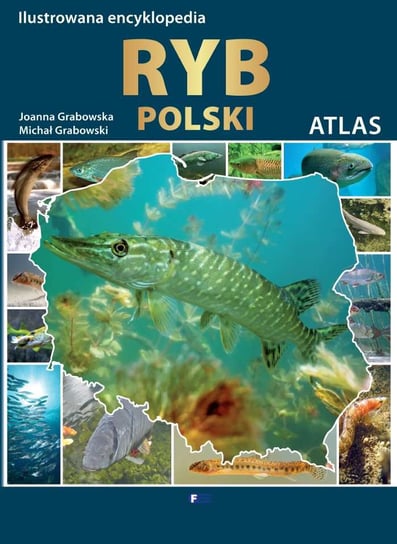 Ilustrowana encyklopedia ryb Polski Grabowska Joanna, Grabowski Michał