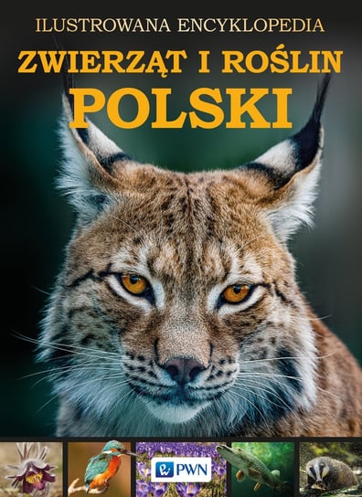 Ilustrowana encyklopedia zwierząt i roślin Polski Opracowanie zbiorowe