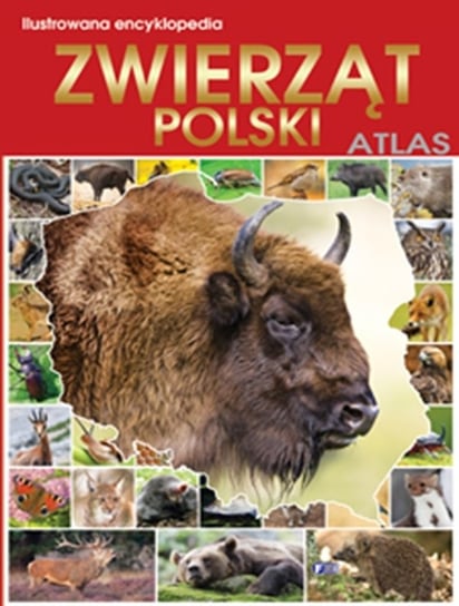 Ilustrowana encyklopedia zwierząt Polski Opracowanie zbiorowe