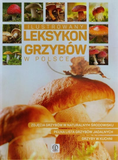 Ilustrowany leksykon grzybów w Polsce Kamiński Wiesław, Bąk Jolanta