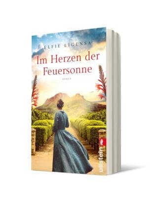 Im Herzen der Feuersonne Ullstein TB