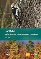 Im Wald Jaun Andreas, Sabine Joss
