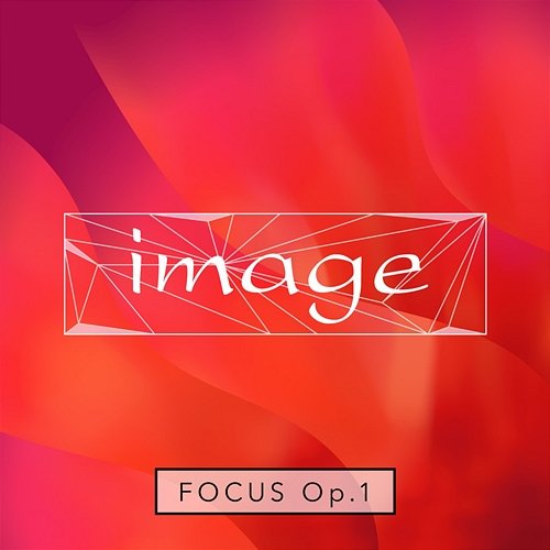 image focus op.1 image meets Amadeus Code