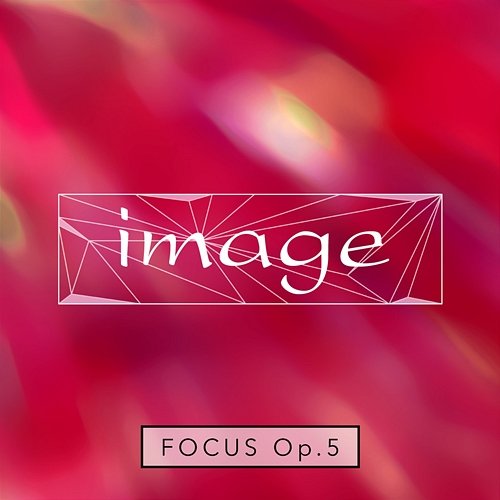 image focus op.5 image meets Amadeus Code