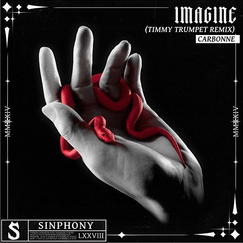 Imagine Timmy Trumpet feat. Carbonne