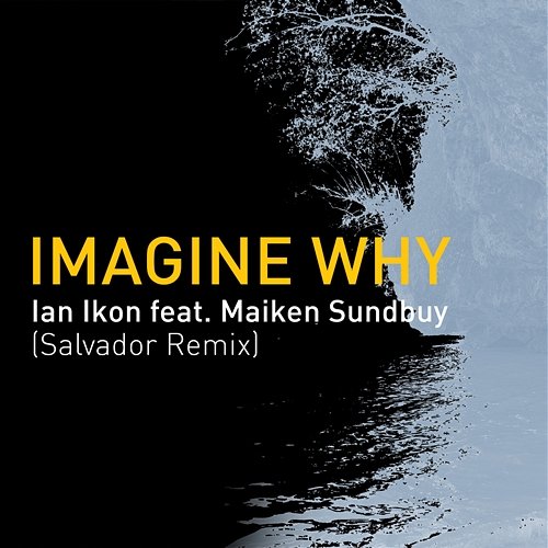 Imagine Why Ian Ikon feat. Maiken Sundby