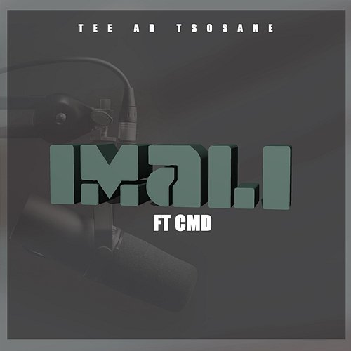 Imali Tee AR Tsosane feat. CMD