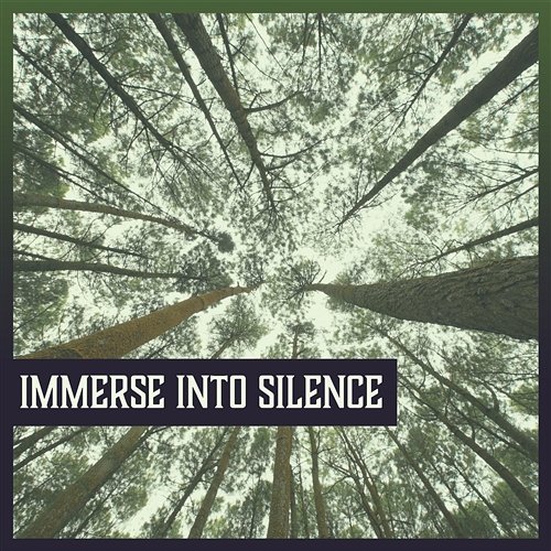 Immerse into Silence – Stress Relief, Sleeping Trouble, Calming Yoga Music, Peace & Harmony, Nature Sound Calm Music Masters Relaxation