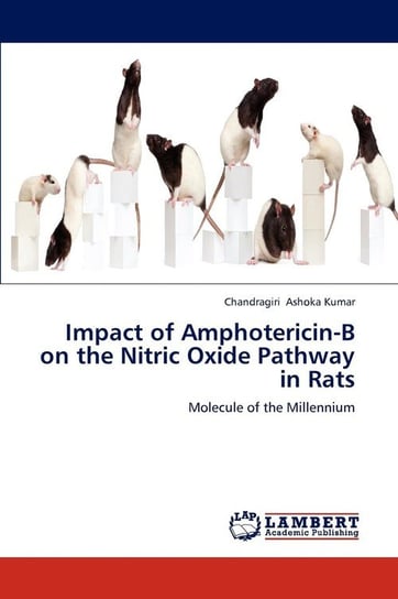 Impact of Amphotericin-B on the Nitric Oxide Pathway in Rats Ashoka Kumar Chandragiri