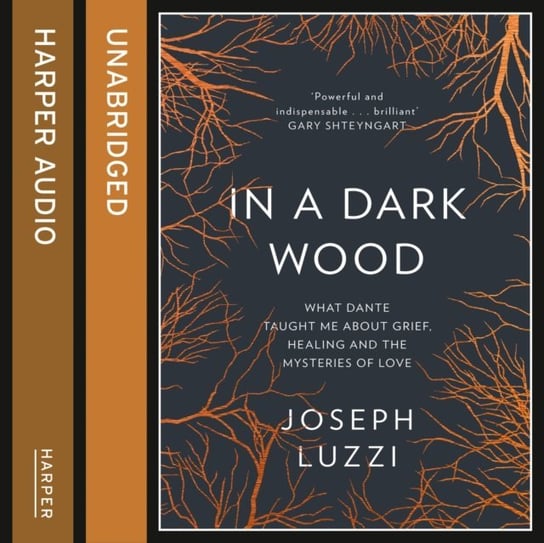 In a Dark Wood Luzzi Joseph