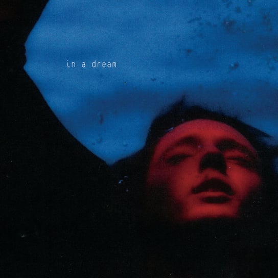 In A Dream Sivan Troye