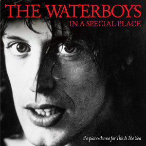 In a Special Place The Waterboys