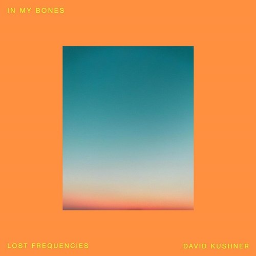 In My Bones Lost Frequencies, David Kushner