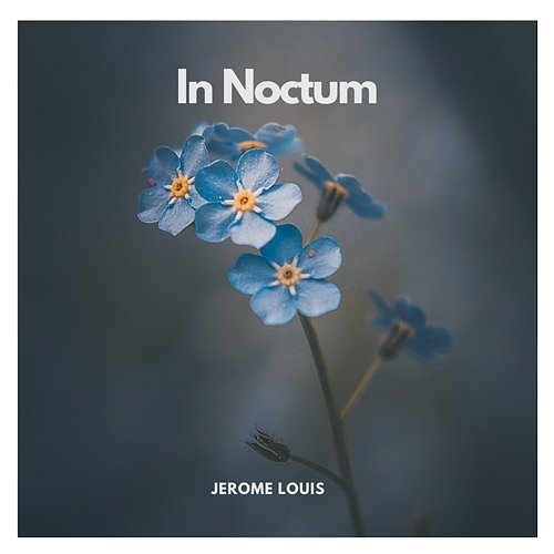 In Noctum Jerome Louis