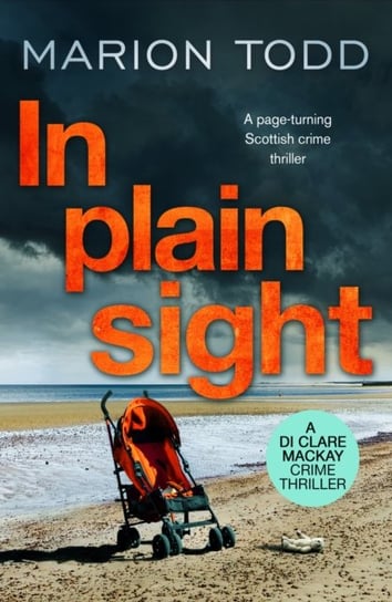 In Plain Sight Marion Todd