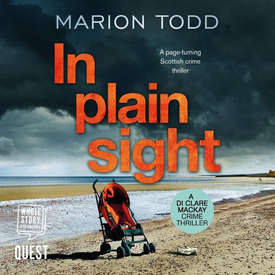 In Plain Sight Todd Marion