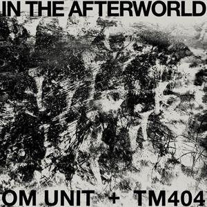 In the Afterworld, płyta winylowa Om Unit