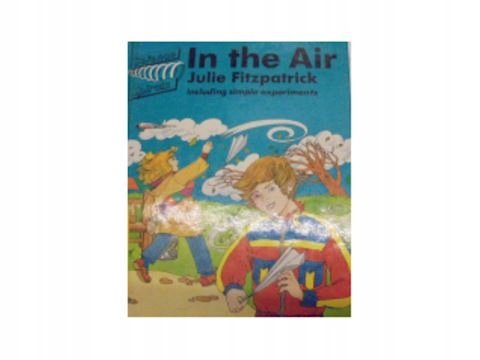 In the Air Joan FitzPatrick