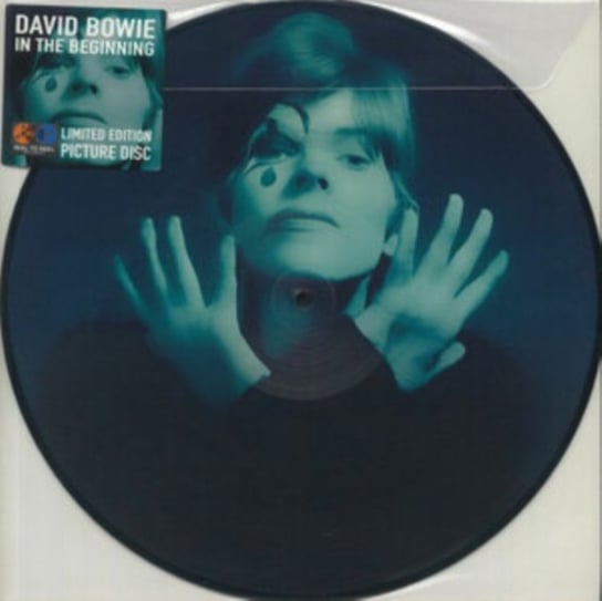In the Beginning, płyta winylowa Bowie David