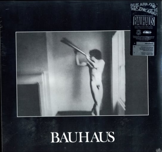 In The Flat Field, płyta winylowa Bauhaus